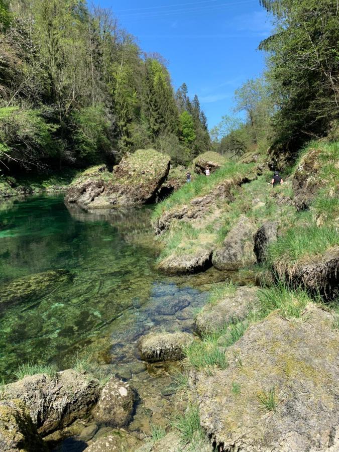 Ferienhaeuschen Am Traunsee Mit Tretboot Zur Freien Nutzung Am Badeplatz Альтмюнстер Екстер'єр фото